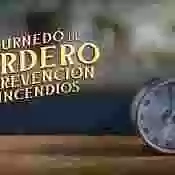 Chuletillas de cordero para cuidar el entorno rural... Nueva campaña para potenciar el consumo de carne de lechal, cordero y cabrito