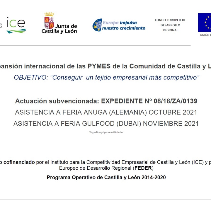 2021 - Expansión internacional de las PYMES de la Comunidad de Castilla y León