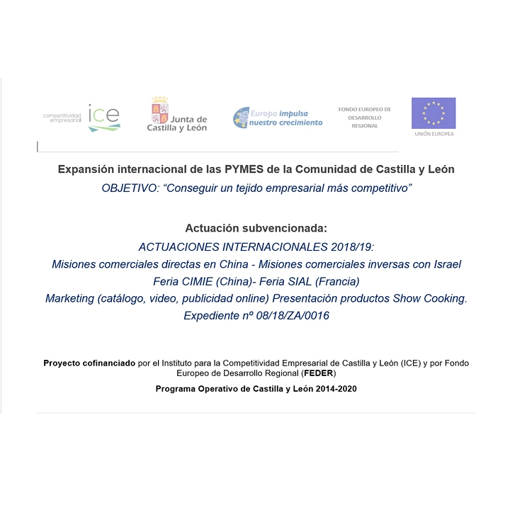 2019 - Expansión internacional de las PYMES de la Comunidad de Castilla y León