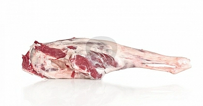 成年羊肉 Moralejoseleccion Com
