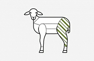 Lamb leg