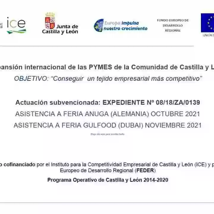 Expansión internacional de las PYMES de la Comunidad de Castilla y León