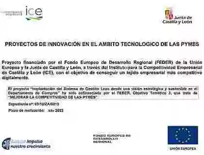 Proyectos de innovación en el ámbito tecnológico de las Pymes.