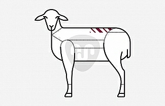 Filet