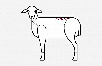 Filet