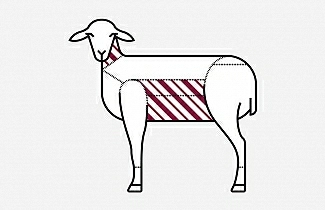 Magerfleisch