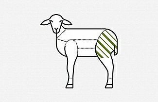 Lamb leg shank off