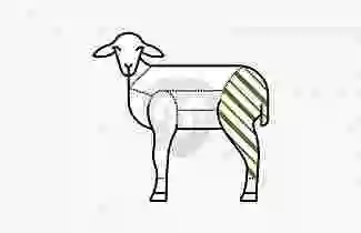 ABO lamb leg
