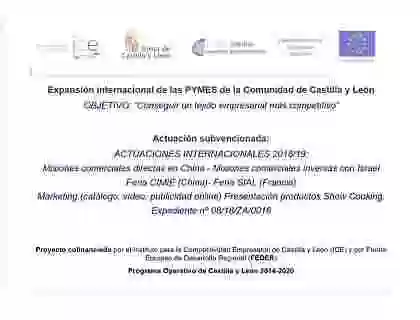 Expansión internacional de las PYMES de la Comunidad de Castilla y León 2019