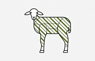 Carcassa di agnello