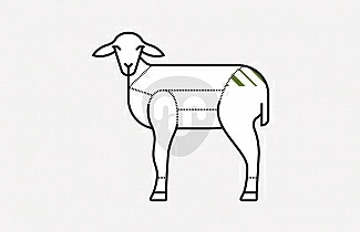 Selle D'Agneau de Bergerie
