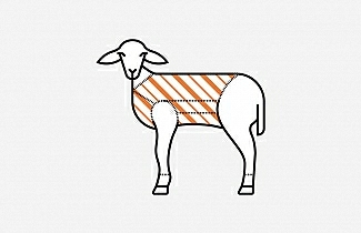 Rumpf