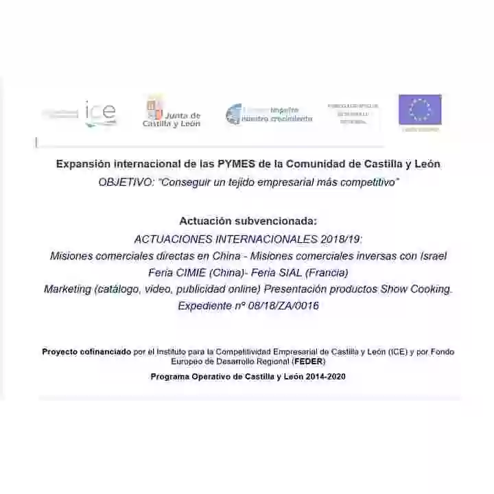 Expansión internacional de las PYMES de la Comunidad de Castilla y León 2019