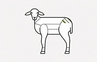 Selle D'Agneau de Bergerie