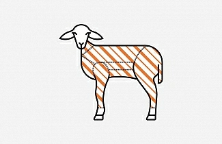Milk fed lamb carcass