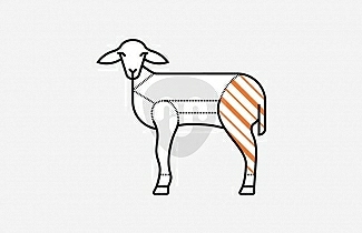 Gigot