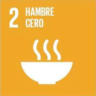 国連の持続可能な開発目標に適合するMORALEJO SELECCIÓN